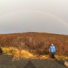 Island Album